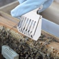 Miniatyrbild 4 av 5: Parti med 4 fångsttänger för bin i rostfritt stål, drottningbur tänger biodlingsverktyg för biodlare