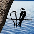 Miniatyrbillede 5 af 5: Silhouette Doiseau, 2 fugle på metalgren, kunst have dekoration, sort