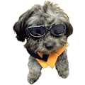 Miniatyrbillede 5 af 5: Hunde Goggles, Solbriller til kæledyr, Sammenfoldelige Hunde Goggles UV Beskyttelse Solbriller (Sort)