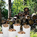 Miniatyrbillede 5 af 5: 10 stk. affaldssække, haveaffaldssække, byggesække, byggematerialesække, affaldssække til byggepladser, plantemateriale affaldssække 60x110 cm