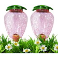 Miniatyrbillede 2 af 5: 2 stk. Kegle Vandingsflaske 500ML, Ler Kugle Indendørs Plante, Automatiske Vandingssystemer til Plantepotte, Vanddispenser Planter Vanding Ferier Tran
