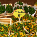 Miniatyrbild 2 av 5: 100 stjärnformade prislappar i papper, 3,2 x 4,3 tum
