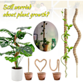 Miniatyrbillede 2 af 5: 4-pak Have-Støtter til Monstera deliciosa, Klatrestativer, Bøjbare Formbare Mosstænger, Pothos og Klatreplanter