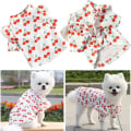 Pikkukuva 2 / 4: Koirakesävaatteet Chihuahua-mekko, Pieni koiramekko Joustava Pehmeä Mukava Helppo pukea ja riisua (XS, Valkoinen)