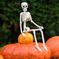 Pikkukuva 2 / 4: Halloween-kallokoriste taivutettavilla nivelillä