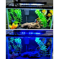 Miniatyrbillede 5 af 5: Classicled Akvariebelysning, LED-rampe til ferskvandsakvarium, Lys Akvarieplanter, 2 LED-lampetilstande til akvarium, 40 cm, 6W, 7000k