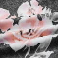 Miniatyrbild 2 av 3: Kvinnors blommiga mönstrade vida ben långa byxor, pyjamasbyxor, casualbyxor, strandbyxor (blomma, XL) Black xl