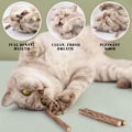 Miniatyrbild 2 av 5: Katt Catnip Leksaker för Katter, Katt Leksak Pinne Naturlig Kattunge Tugga Leksak Tandvård Tandspricka Pinne för Katter, Pack om 20 st