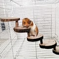 Miniatyrbild 4 av 5: Hamster träningsleksak, trähamsterklätterleksak