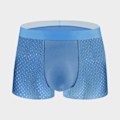 Miniatyrbild 1 av 5: Ice Silk Mesh Herrunderkläder Herrboxershorts Sommar Mesh Andningsbara Shorts (Blå XL) Blue xl