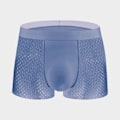 Miniatyrbild 1 av 5: Ice Silk Mesh Herrunderkläder Herrboxershorts Sommar Mesh Andningsbara Shorts (Gråblå L) Grey Blue l