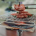 Miniatyrbild 4 av 5: Grillnät i rostfritt stål, hopfällbart grillställ för brödrost (stort) m