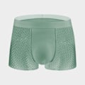 Miniatyrbild 1 av 5: Ice Silk Mesh Herrkalsonger Herr Boxershorts Sommar Mesh Andningsbara Shorts (Gräsgrön 4XL) Grass Green 4xl