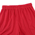 Pikkukuva 4 / 5: Miesten TomyHilfiger shortsit, joustava vyötärö, treenishortsit, lenkkeilyshortsit Red 4XL