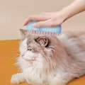 Miniatyrbillede 4 af 5: Elektrisk kæledyrsbørste med UV-lys, nem at bruge, kæledyrsmassagebørste til killinger, hvalpe, katte og hunde Blue