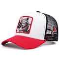 Miniatyrbillede 2 af 2: Mænd Kvinder Mickey Mouse Mesh Baseball Cap Unisex Snapback Sommer Solskærm Hatte raket vit