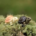 Miniatyrbild 3 av 4: 2 st miniatyrdocka sköldpadda bonsai miniatyr sköldpaddsdekorationer figurin mikro landskap älva trädgård djurleksak dockhus prydnad DIY-kit