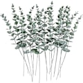 Miniatyrbillede 2 af 5: 24 stk. Eucalyptus Stængel Dekoration Kunstig Eucalyptus Blade til Bryllup Midterstykke Blomsterdekoration Hjem Indretning