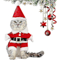 Miniatyrbild 5 av 5: Julkläder för husdjur Söta tomtekläder för katt Kläder för hund Julkläder för husdjur med tomteluva