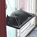 Miniatyrbillede 4 af 5: Enkelt vindue kattehængekøje, egnet til store katte op til 25 kg, solsenge, kæledyrssenge,