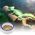 Miniatyrbild 5 av 5: Reptilmatskål Ödla Gecko Mat Vattenfat Skäggagam Foderfat (Medium）