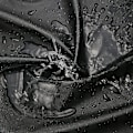 Miniatyrbild 5 av 5: 67,1*44*32cm Grillöverdrag Polyester Vattentätt Skydd för Weber Grill