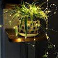 Miniatyrbillede 4 af 4: 3M LED-lyskæde Kobbertråd Fe-lys Juleguirlande Soveværelse Indendørs Bryllup