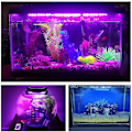 Miniatyrbillede 3 af 3: LED Akvarielys, Farverig Neddykkelig Fiskekumlys (39cm, AU Stik)