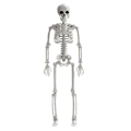 Miniatyrbilde 1 av 3: 1 stk Simulert Skjelettmodell Morsomt Skjelett Håndverk Halloween Layout Dekor Hvit