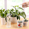 Miniatyrbild 3 av 5: Sprinklerflaska Stopper 4 st, Vattna Vas Kettle Duschmunstycke Trädgårdsverktyg, Vattenkannor för Vattenflaskor Hushållsbevattningsverktyg för Krukväxter