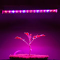 Miniatyrbild 4 av 5: T5 LED växtlampa växttillväxtremsa suckulent grönsak blomma växtlampa