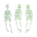 Miniatyrbillede 1 af 3: 3 stk Halloween Skelet til Halloween Dekorationer