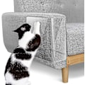 Miniatyrbild 1 av 4: Kattklöskyddande Film, 10-pack Transparenta Soffa Skyddande Pads Möbelskydd