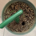 Miniatyrbild 3 av 3: Lökfröplanteringsverktyg Transplanteringsgrepp Widger