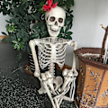 Miniatyrbilde 5 av 5: 90 cm Full Size Poserbar Menneskelig Rekvisittskjelett Fest Spøkelseshus Dekorasjoner Halloween (90CM)