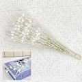 Miniatyrbild 2 av 4: Baicccf 24-pack Julglitterbärgrenar för julgransprydnader och -sprayer, Glittriga kvistar, Prydnader, Grenar för julgransfyllnadsdekoration