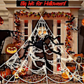 Pikkukuva 1 / 5: Halloween-hämähäkinseitit Simulaatio Iso Hämähäkki Kohtaus Asettelu Tarvikkeet Lomapäivän Koristeet 7 Metriä