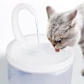 Miniatyrbild 2 av 5: Kattvattenfontän Automatisk Svanhals LED Vattendispenser Automatisk