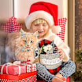 Miniatyrbild 4 av 4: Julstrumpor för Katter, 19 Tum, Stor Fiskform, 2-pack
