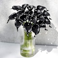 Miniatyrbilde 2 av 4: 10 Stilker med Ekte Berørings Calla Liljer Kunstig Blomsterbukett, Perfekt for Bryllup, Brud, Fest, Hjemmekontor Dekor DIY (svart)