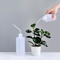 Miniatyrbild 1 av 5: Vattenkanna för inomhusväxter med lång pip - Vattenkanna för trädgårdsväxter - för krukväxter, hem, trädgård, blommor, inomhusväxter, bevattning
