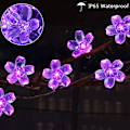 Miniatyrbild 4 av 5: Utomhus ljusslinga, 50 LED 8 dekorativa körsbärsblomsljus, en bit