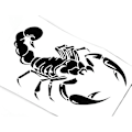 Pikkukuva 4 / 4: Auton tarra vinyyli tarra tarra 3D skorpionikuvioon Cool Auto Decal Paste Decoration 2kpl
