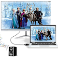 Pikkukuva 5 / 5: VGA-HDMI-sovitin 1080p, VGA-uros - HDMI-naaras, äänikaapelilla ja