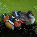 Miniatyrbild 4 av 5: Realistisk mandarinandstaty Fin symbol Resin Art Craft Mandarinand prydnad för pool
