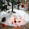 Miniatyrbild 3 av 5: Julgransmatta Mjuk Snövit Juldekorationer Julgransmatta Semesterkjolar (150cm)
