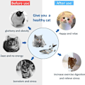 Miniatyrbild 4 av 5: Kattmyntaleksaker, Elektrisk fiskleksak för katt, Kattunge plyschleksak, Interaktiv kattmyntaleksak, USB-laddning