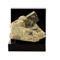 Miniatyrbillede 1 af 2: Sten og mineraler. Pyrit. 385,5 øre. Navajún, La Rioja, Spanien.