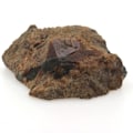 Miniatyrbillede 2 af 4: Sten-Grossular Catalansk Granat-Andradite. 288,2 øre. Pyrenæerne-Orientales, Frankrig