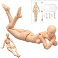 Miniatyrbild 2 av 3: Kroppsmodell, Konstnärsmodell Trämodell Ledad modell Målningsfigur Man + Kvinna Set (Grå)-WELLNGS/NT/